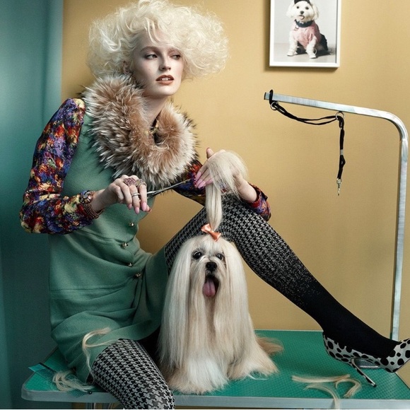 🐶WE ARE LIVE🐶 - Picture 7 of 17